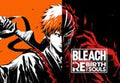 BLEACH Rebirth of Souls - Pre-Order Bonus DLC EU PS5 CD Key