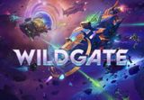 Wildgate PC Steam CD Key