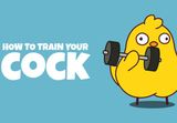 How to Train Your Cock PC Steam CD Key