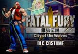 FATAL FURY: City of the Wolves - COSTUME FURY 2 TERRY DLC EU (without DE) PS4/PS5 CD Key