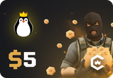 CSGOWin $5 Gift Card