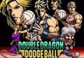 Double Dragon Revive - Pre-Order Bonus DLC PS5 CD Key