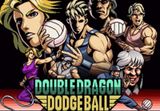 Double Dragon Revive - Pre-Order Bonus DLC PS5 CD Key