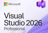 MS Visual Studio 2026 Professional CD Key