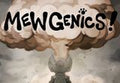 Mewgenics PC Steam Account