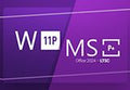 Windows 11 Professional & MS Office 2024 Professional Plus LTSC Bundle Key
