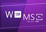 Windows 11 Professional & MS Office 2024 Professional Plus LTSC Bundle Key