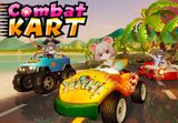 Combat Kart PC Steam CD Key