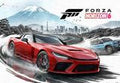 Forza Horizon 6 PC Steam Account