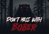 Don't Mess With Bober PS5 Account