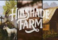 Hillshade Farm PC Steam CD Key