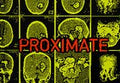 PROXIMATE PC Steam CD Key
