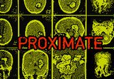 PROXIMATE PC Steam CD Key
