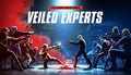 Veiled Experts - PC (Steam)