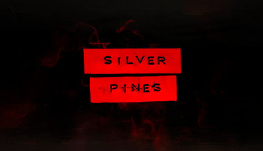Silver Pines - PC (Steam)