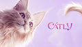 Catly - PC (Steam)