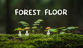 Forest Floor - PC (Steam)
