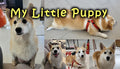 My Little Puppy - PC (Steam)
