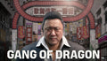 GANG OF DRAGON - PC (Steam)