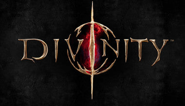 Divinity - PC (Steam)