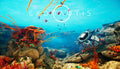 EXONAUTIS - PC (Steam)