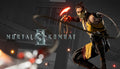 Mortal Kombat 2 - PC (Steam)