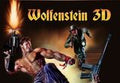 Wolfenstein 3D EU PC Steam CD Key