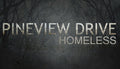 Pineview Drive - Homeless - PC (Steam)