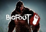 BIGFOOT PC Steam CD Key