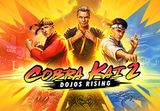 Cobra Kai 2: Dojos Rising EU Nintendo Switch CD Key