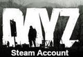 DayZ PC Steam Account