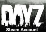 DayZ PC Steam Account