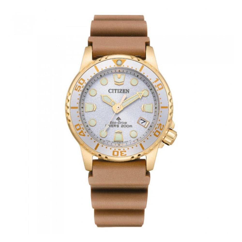 Citizen Eco-Drive Brown Synthetic Rubber Strap Men Watch EO2022-02A