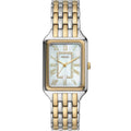Fossil Raquel Two-Tone Stainless Steel Strap Women Watch ES5305