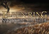 ELDEN RING: Shadow of the Erdtree Edition PS4 Account