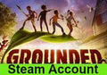 Grounded PC Steam Account