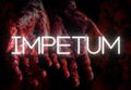 IMPETUM PC Steam CD Key