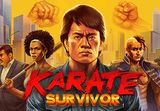 Karate Survivor PC Steam CD Key