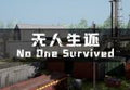 No One Survived Steam CD Key