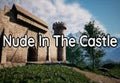 Nude In The Castle Steam CD Key