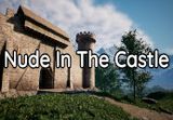 Nude In The Castle Steam CD Key