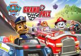PAW Patrol Grand Prix Steam CD Key