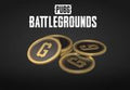 PUBG - 100 G-Coins PC Steam CD Key