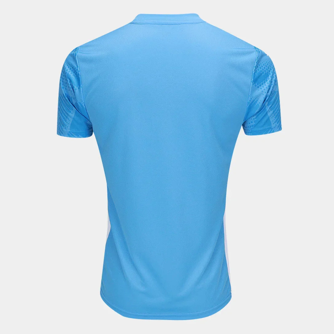 Palmeiras 25/26 Goalkeeper I Home Jersey - Fan Version
