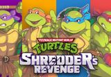 Teenage Mutant Ninja Turtles: Shredder's Revenge Nintendo Switch Access