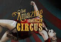 The Amazing American Circus Steam CD Key