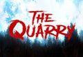 The Quarry PS4 Access