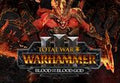 Total War: WARHAMMER III - Blood for the Blood God III DLC Steam CD Key
