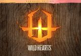 WILD HEARTS Karakuri Edition PS5 Account