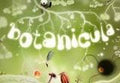Botanicula Steam CD Key